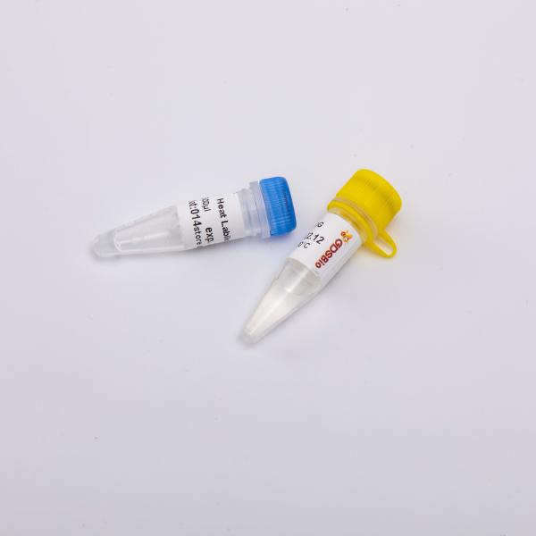Heat Labile Anti Contamination UDG Enzyme Molecular Biology R5001