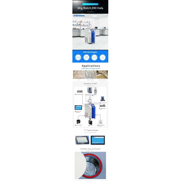 6Kg Freeze Dryer Machine Laboratory Freeze Dryer Small Vertical