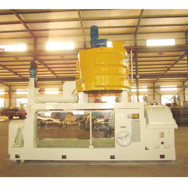 Automatic Grade Automatic Big Capacity Cotton Seed Oil Press Machine Castor Oil Mill Processing Machinery