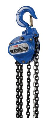 Industrial 6mm Manual Chain Block with 3m/min Lift Speed and Powder Coating Surface Treatment
