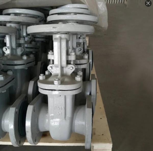 GOST rising stem metal seal cast steel gate valve