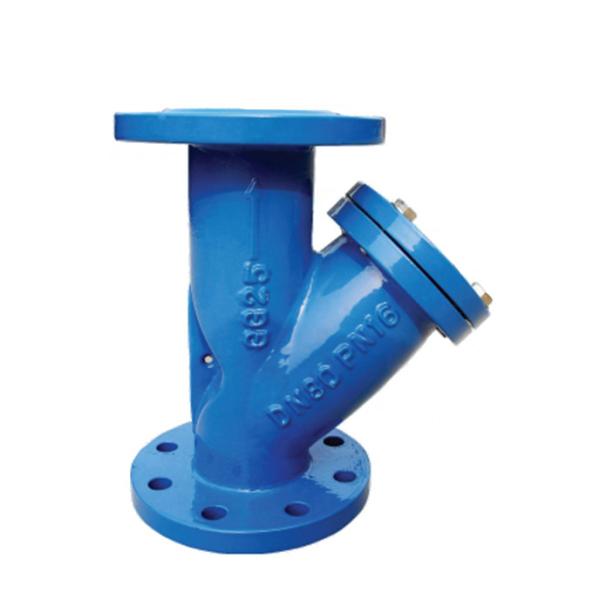Carbon Steel Y Type Strainer PN16 ANSI B16.1 Flanged Filter with Flange Ends DN50-DN600