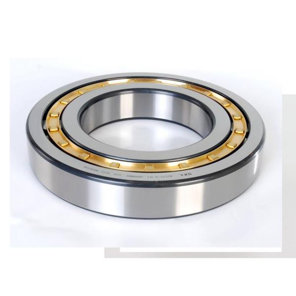 Original Flag Germany Cylindrical Roller Bearing N Nu Nup Nj2316