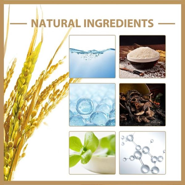 OBM OEM Factory Wholesale Price Whitening Korean Skin Care Facial Toner Hydration Rice Toner Water Nicotinamide for Dry Skin