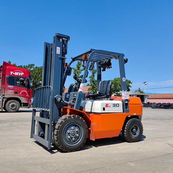 Duplex Mast Gasoline Powered Forklift 3000kgs Warehouse Equipment Forklift