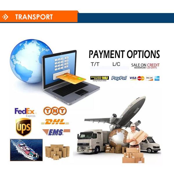 Преобразуйте свой сад Внешние солнечные садовые фонари Пошаговое руководство