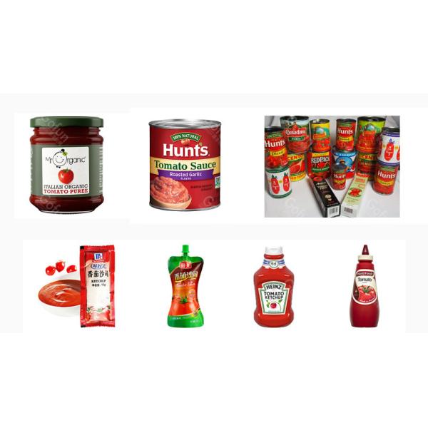 Industrial Tomato Paste Production Line |40-1500T/Day Turnkey Machinery with Aseptic Filling