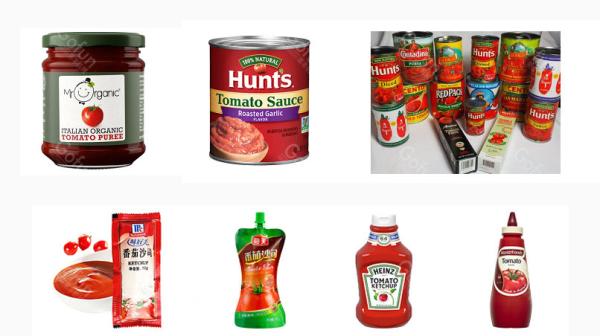 SS304 / 316L Tomato Ketchup Processing Line 1 - 10T/H Long Service Life