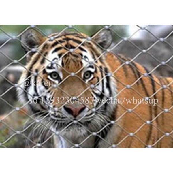 Animal Enclosure Mesh Stainless Steel Wire Rope Mesh For Zoo Animal Fencing