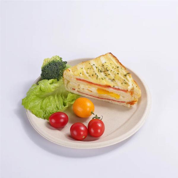 Plant Starch PLA Compostable Disposable Tray Plate Biodegradable