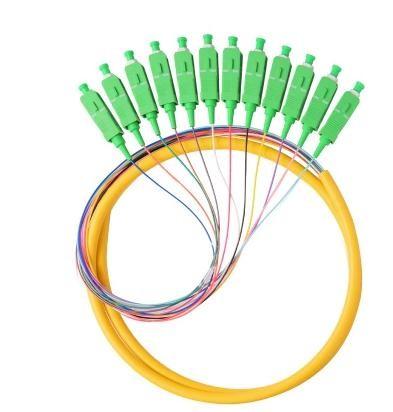 PVC / LSZH SM Fiber Optic Pigtail 12 Cores SCAPC Ribbon Pigtail Single Mode