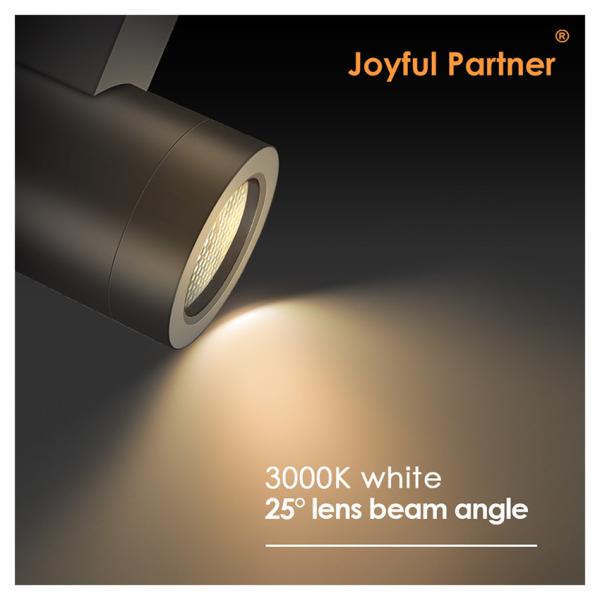 Garden LED Wall Lanterns Extruded Aluminum Alloy Housing Up And Down For Outdoor Decoration