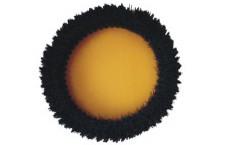 Custom 13 inch Soft Floor Cleaning Machine Brushes Black bristle