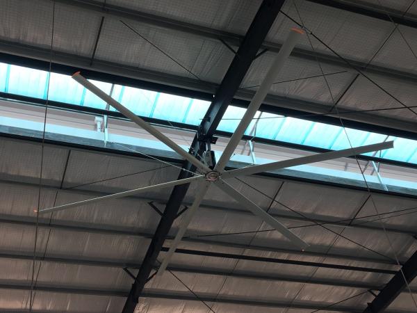 Chinese Premium Industrial Ceiling Fan for Factory Ventilation