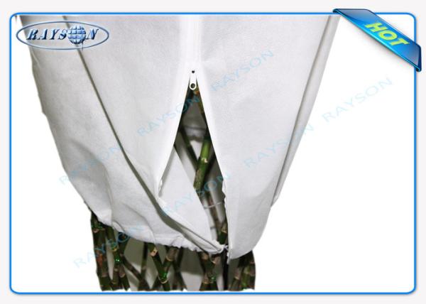 PP Spunbond Agriculture Non Woven Cover Fabric Bag Material Nonwoven Fabric