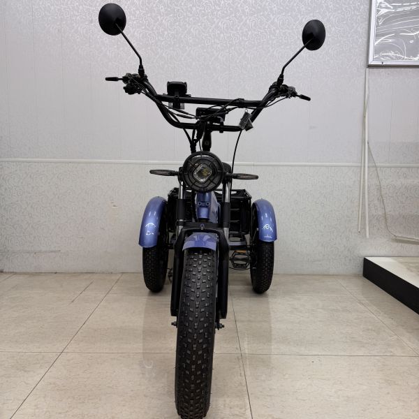 多機能電動E三輪車 調節可能なハンドルバー + 7段変速
