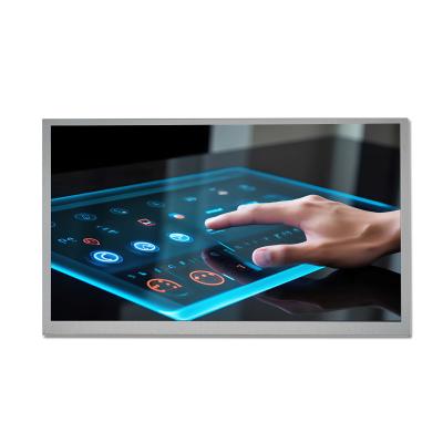 13.3 Inch LCD Display Panel Custom Medical Grade TFT Display Manufacturer