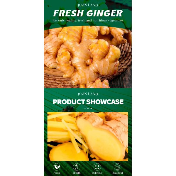 Organic Fresh Yellow Young Ginger Farm-Grown Chinese Ginger High-quality 100% Pure Natural Specification