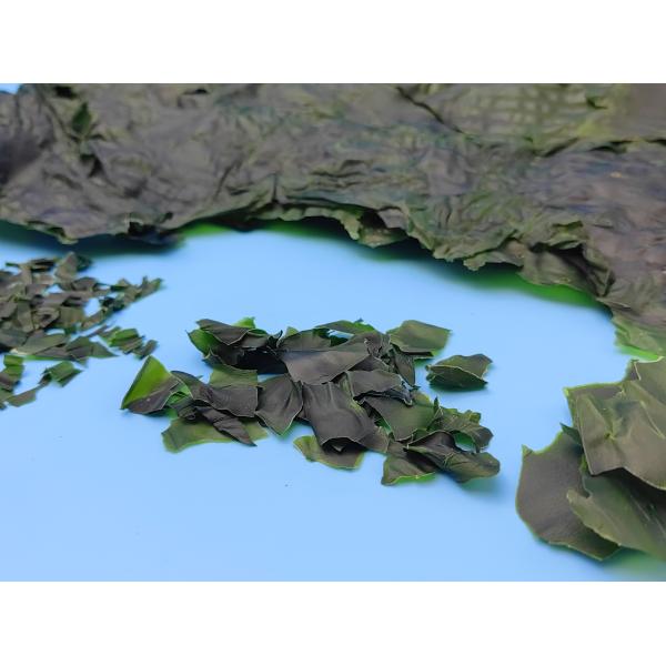 Japanese Ingredient Brown Algae Dried Kelp Kombu Sprouts Nutrient Rich Superfood With HACCP Certification