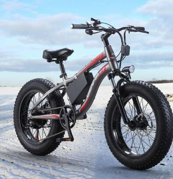 36V 500 Watt 20 Inch Fat Tire Electric Bike