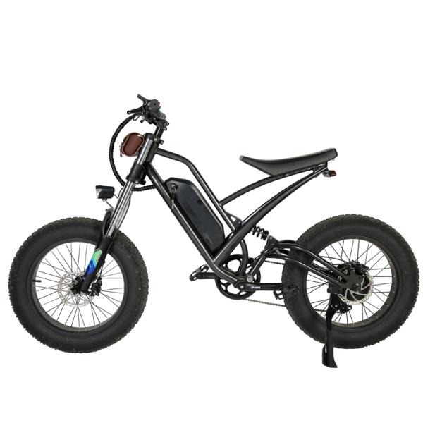 DOMANCA 750W High Speed Dirt Bike Off-road Fat Tire Ebike Customized E Bike Motorcycle