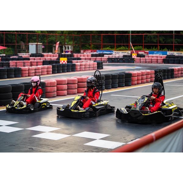 Гонки взрослого 3000RPM электрические идут Kart с ездой рамки 4130 CrMo дальше