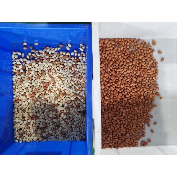 Уникальная питаясь точность сортировщицы 99,9% арахиса системы сортируя