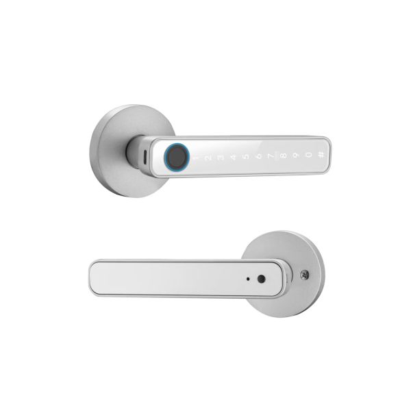 Qleung Smart Handle Lock S604N Fingerprint Password Card Key Unlocking Tuya Smart Home Lock