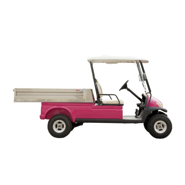 Electric Golf Car Buggy Housekeeping Car with Aluminum Cargo Box