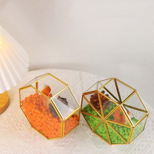 Creative golden glass artifact windows display box garden dried flowers green plants succulent plant ornaments