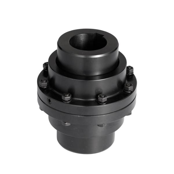 Customized GICLZ Type Shaft Customized GICLZ Type Quick Installation