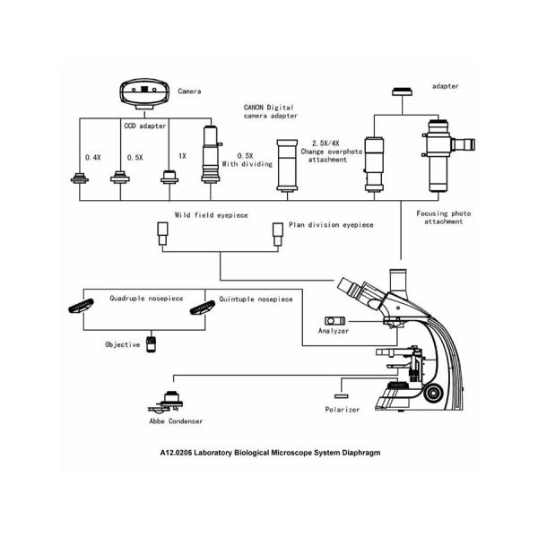 ocular binocular del microscopio biológico A12.0205 WF 10X de la lámpara del halógeno de 12V 20W