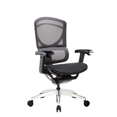 ISEE X Ergo Mesh Office Chairs Mid Back Ergonomic Computer For Longsitting People