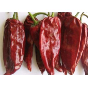 Одиночный китаец чилей 12000 SHU Yidu травы высушил перцы красного Chili