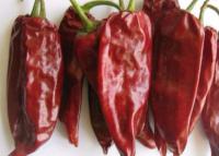 Herb Yidu Chilli simple 12000 poivrons de SHU Chinese Dried Red Chili