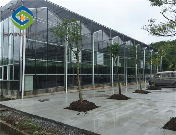 10.8m Cucumber Glass Greenhouse Intelligent Automatic Control