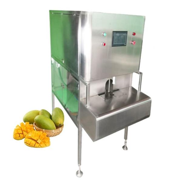 Dried Mango Type 2 Sliced Fresh 100% Natural Organic Sugar Best Selling Healthy Nutrition Snack Cheap Price Low MOQ Vietnam