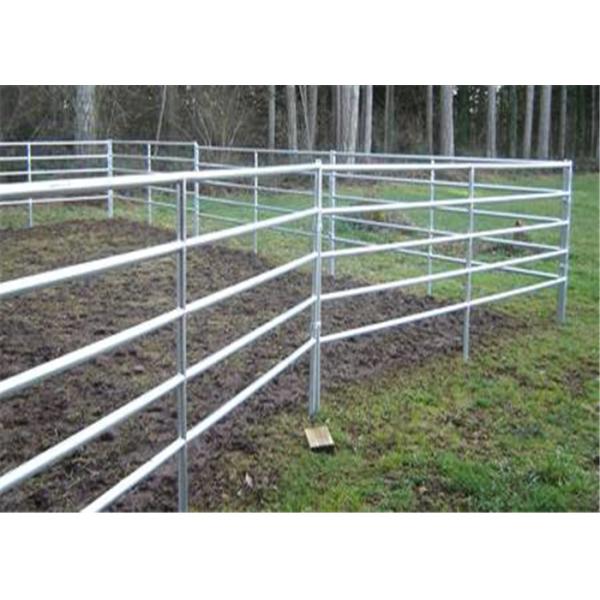 Загородка загона плоской поверхности Эко дружелюбная обшивает панелями размер трубы 32мм с 6 рельсами