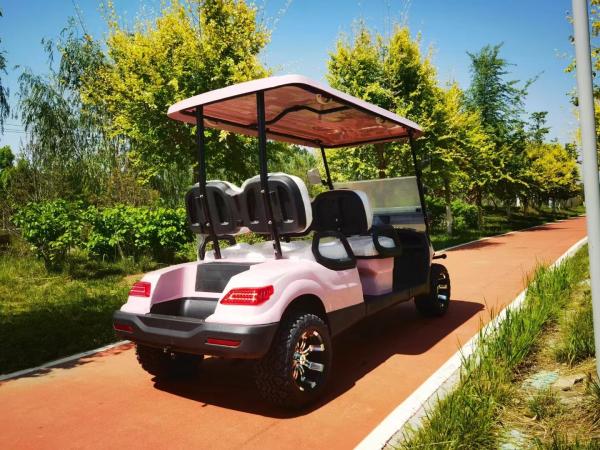 Un chariot de golf à batterie au lithium à double élève peut transporter 4 personnes pour les activités du club de mariage