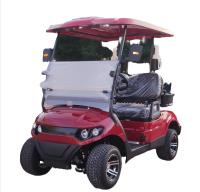 Carrinho de golfe eletrônico personalizado