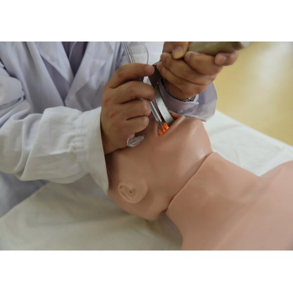 Adult Half Body Intubation CPR First Aid Manikins