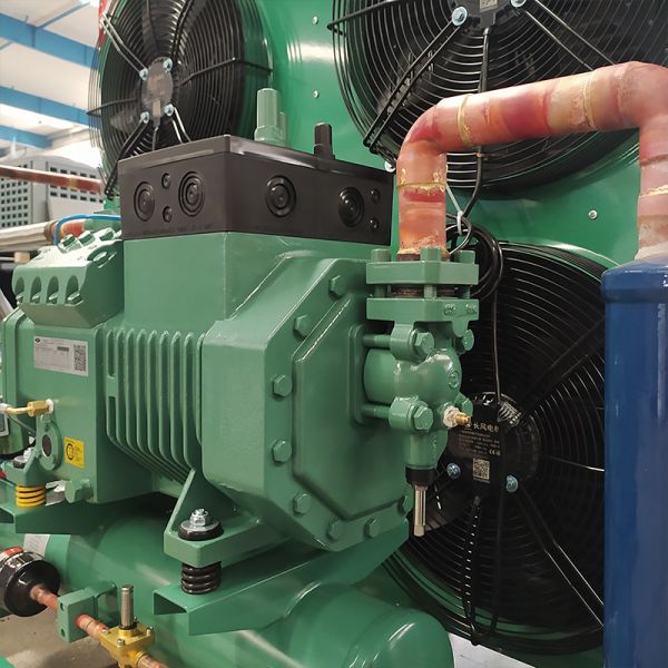 RUIXUE Blast Freezer Cold Storage Room Energy-Saving Cooling Refrigeration System Bitzee Compressor Condensing Unit 160kg