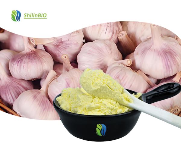 Garlic Extract Allicin