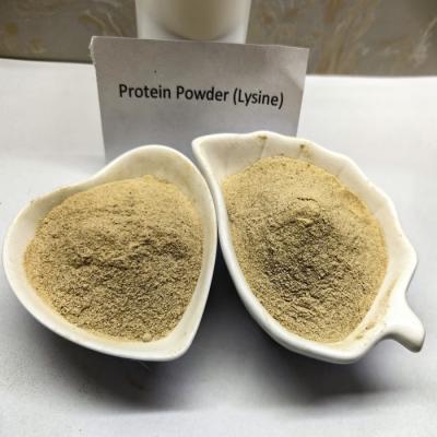 Vitamins B Poultry Protein Supplement Powder With Bacillus Subtilis For Animal Nutrition