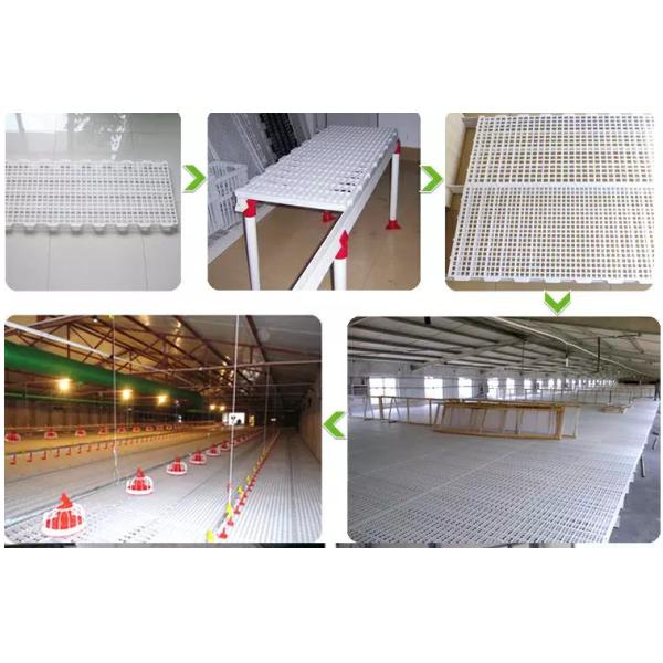 Poultry Ventilation Chicken Plastic Slat Floor Customised