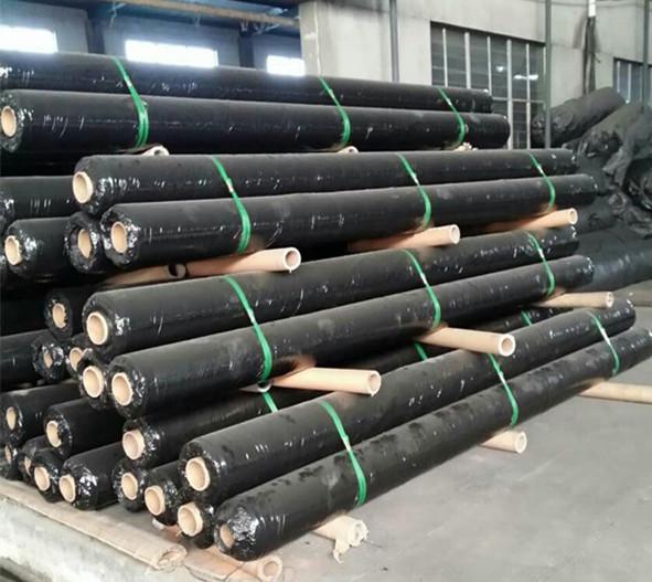 155gsm pp woven geotextile fabric for separation