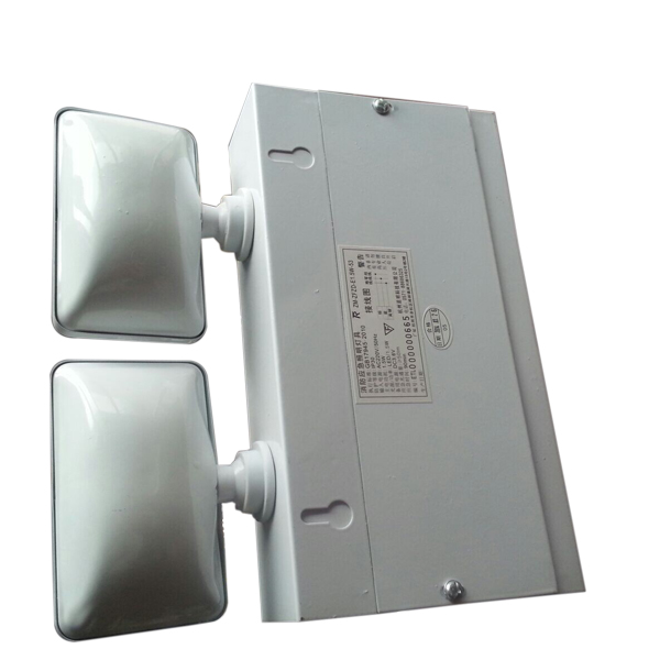 Interior Exterior Twin Head LED Emergency Light Glass Diffuser IP20 TL020AN