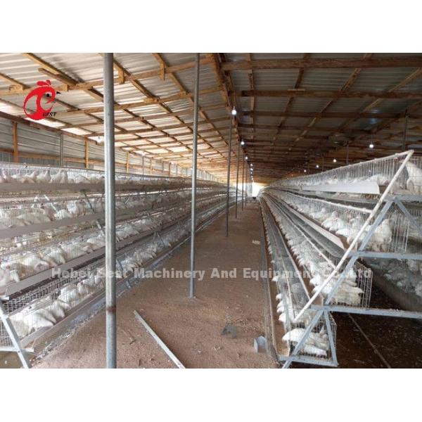5 Tiers 450cm2 Galvanized Layer Battery Cage System Egg Laying Hens Emily