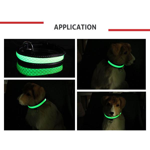 Size S / M / L Light Up Dog Collar LED Nylon Chain Choke Training Leashes