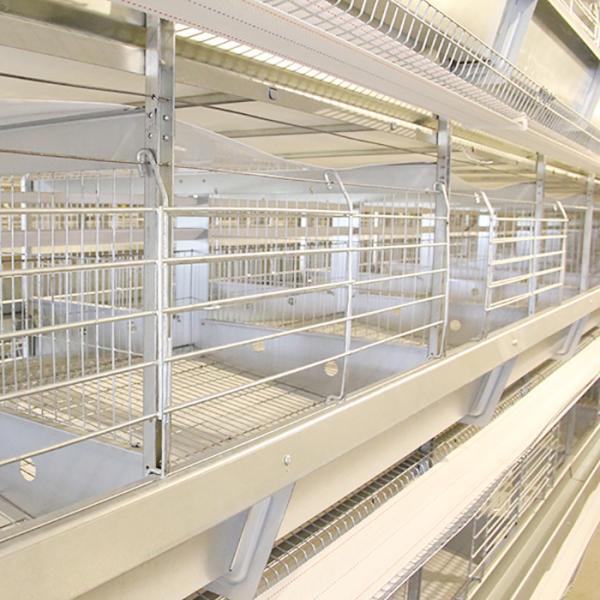 Automatic Chicken Farm Equipment , 380V U Shape Steel Hi Tech Chicken Cage